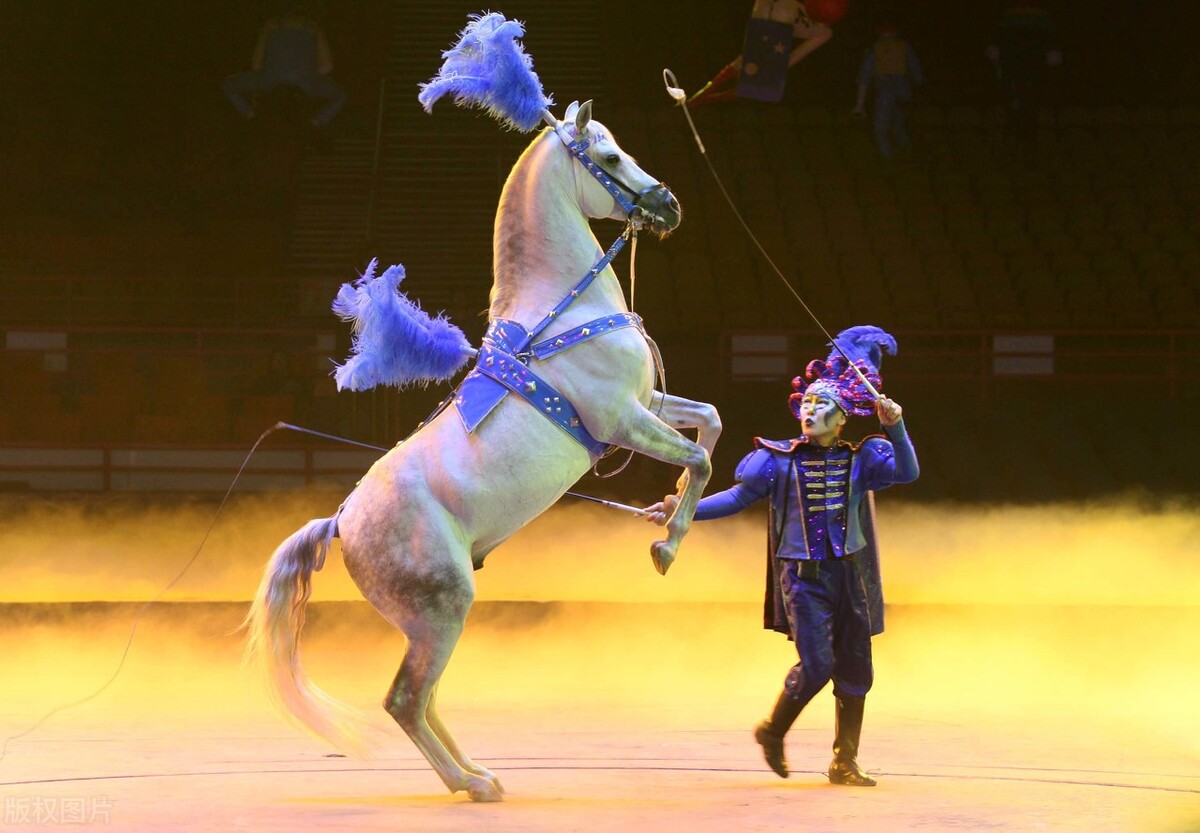 湖南长隆欢乐世界,番禺长隆欢乐世界