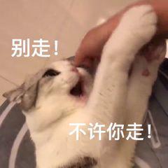 word空白页一直删不掉是怎么回事,word空白页老是删不掉怎么办