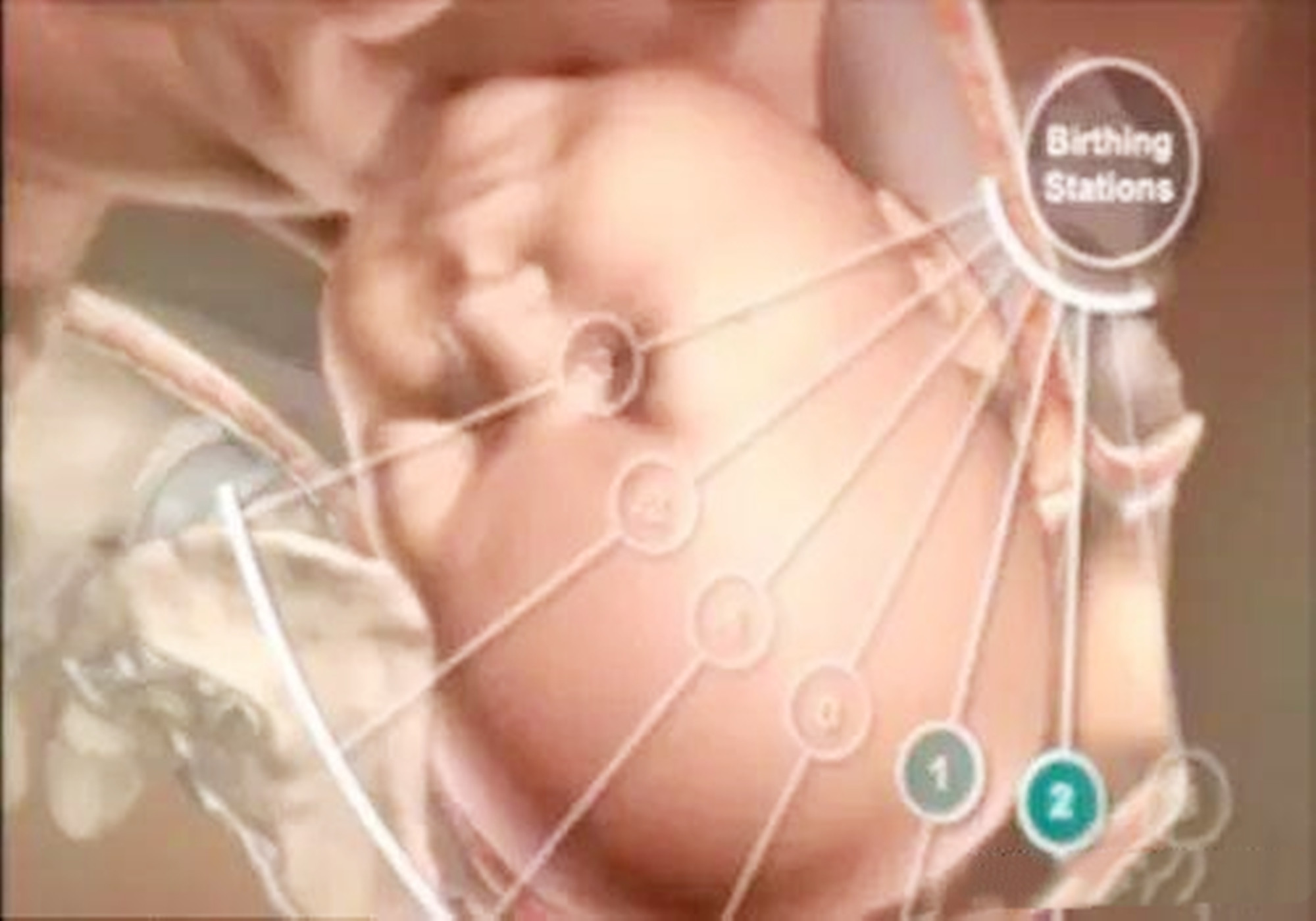 顺产痛感的“关键所在”，三张图透彻解析，看完心疼顺产妈妈