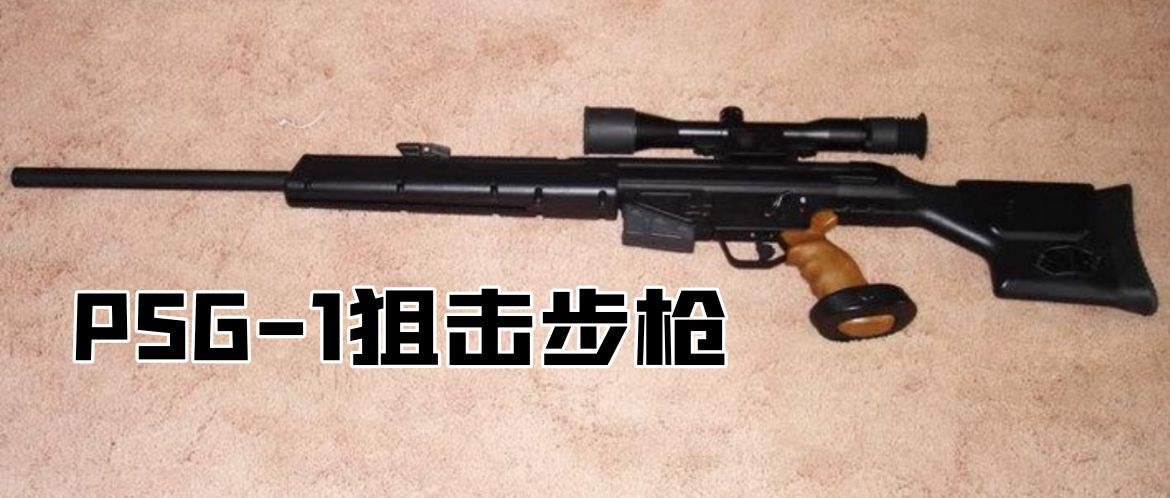 英国枪史图册全篇,德国枪图片