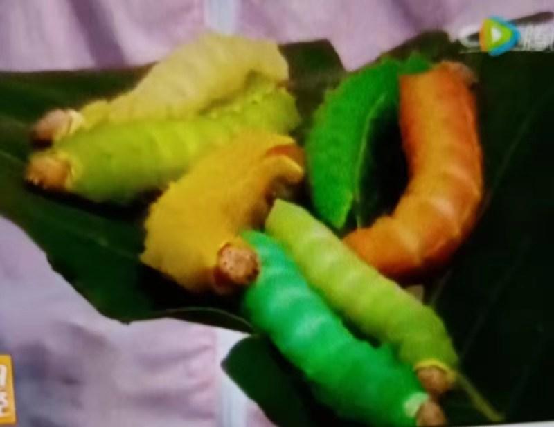 伏牛笔耕苑第237期2021.3.31