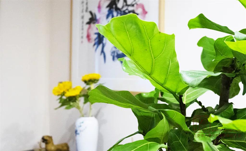 清凉山居叠拼没证,清凉山居别墅300平