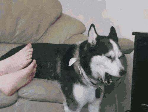 透气舒适不捂脚潮袜推荐,好穿又好搭吸汗防臭袜