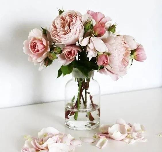 男生适合什么香型的香水,男人香水什么香型的好喝