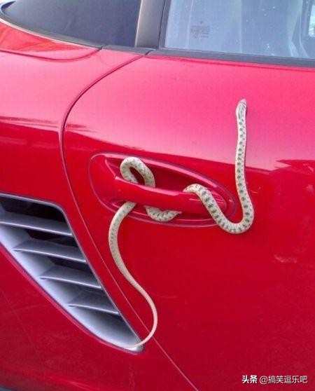 笑岔气的搞笑段子：有些人表面上喊穷，背地里为喜欢的人大手大脚