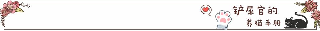 养猫知识在线解答,养猫知道的小知识