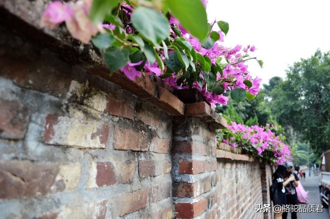 厦门海边之旅,厦门小众旅游体验