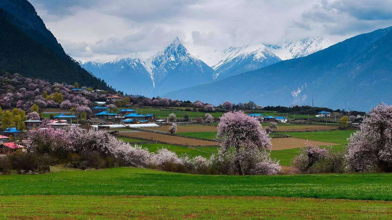三月林芝必去景点,三月西藏林芝旅游攻略