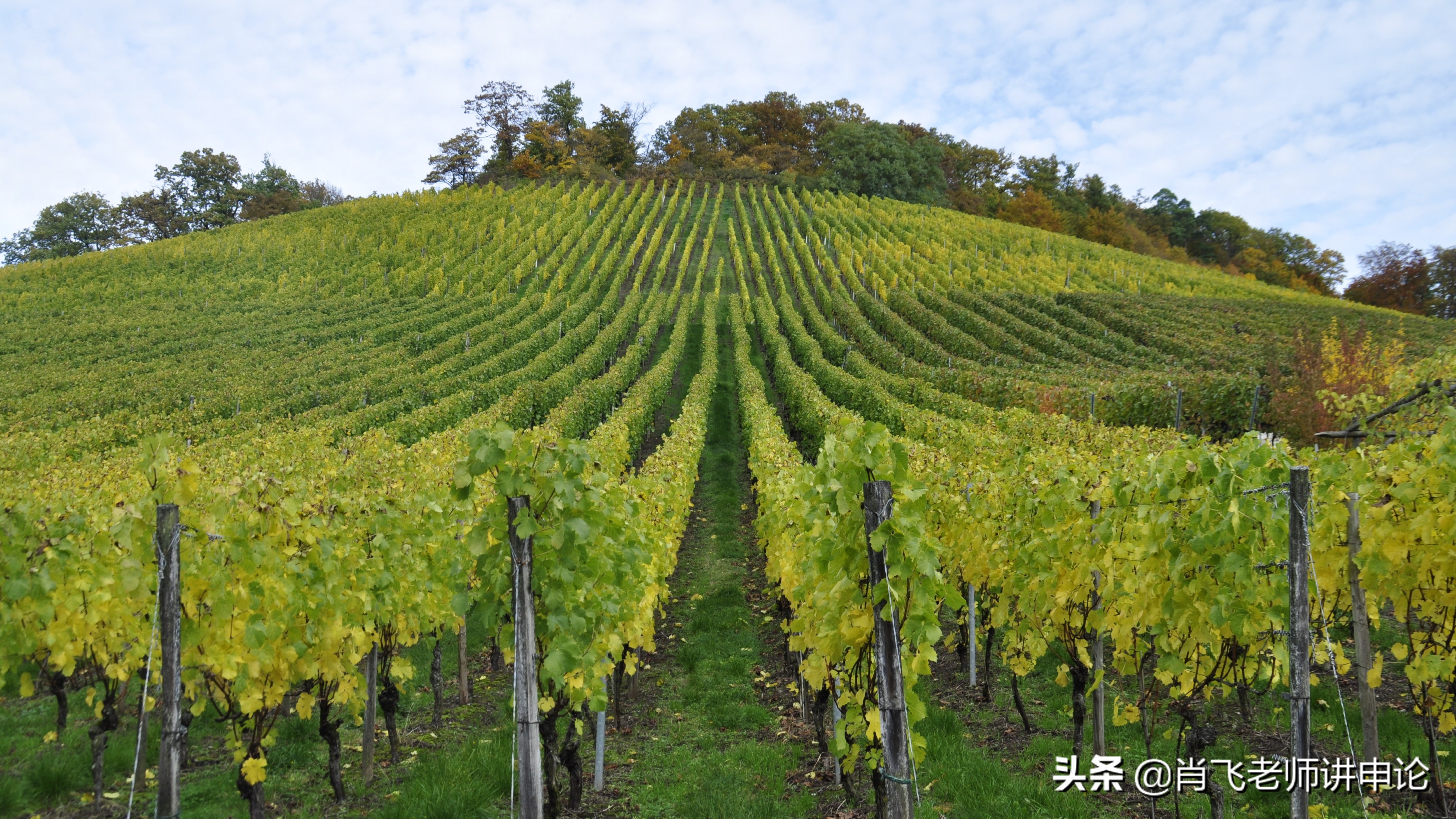 申论开头结尾写作技巧,申论作文结尾的写作方法