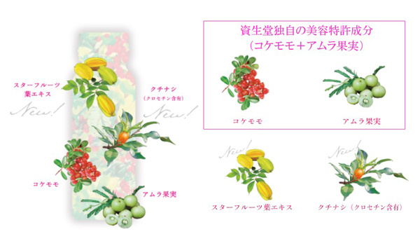 新年送好礼|资生堂爸爸带它的TheCollagen天团来啦!