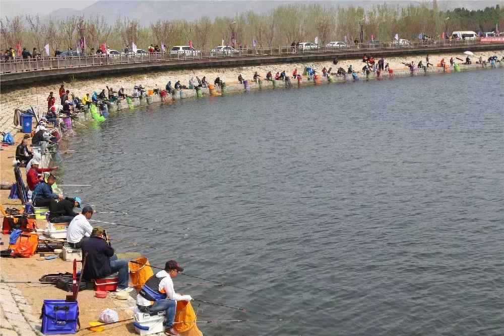 烤骆驼是迪拜的特色美食,运城烤骆驼哪里好吃