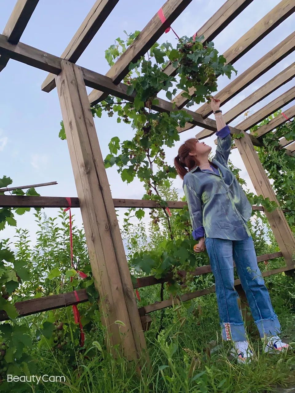 全国各省宝马4s店排行,全国宝马4s店名字