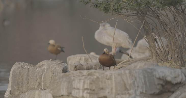 富士xt3有哪些变焦镜头推荐,富士x-t30xc35套机拍照