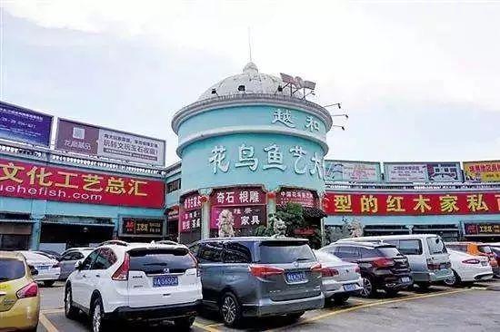 广州攻略必玩的景点2天,广州旅游必打卡的地方推荐