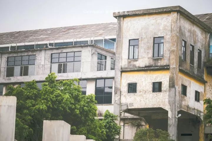 广州小众自驾,广州10个必去打卡的地方