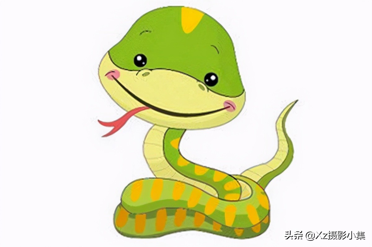 大连蛇岛旅游体验,大连蛇岛景区