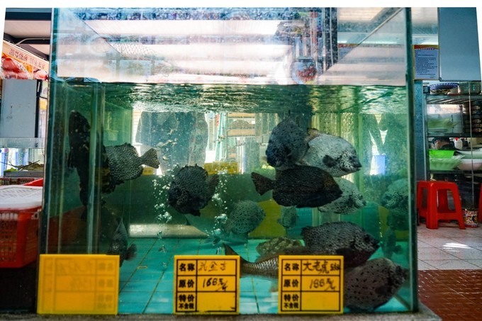 广东顺德美食旅游攻略学生,顺德自驾这份美食攻略要收好