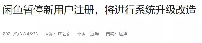 鲸置和闲鱼,闲鱼体验完毕