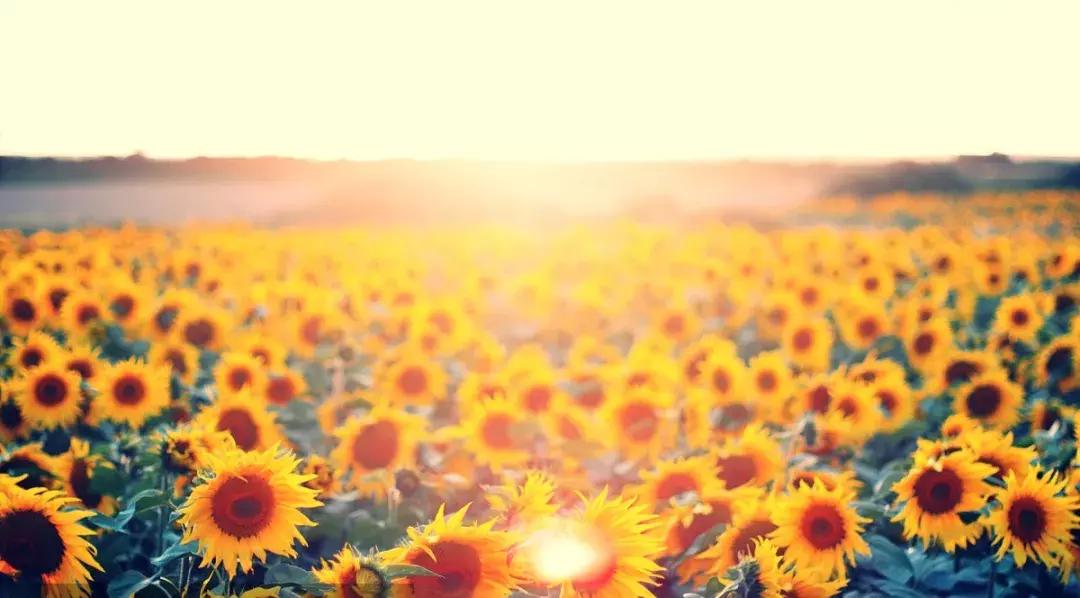 身份证410、411、412开头的，去了郑州就等于去了全世界