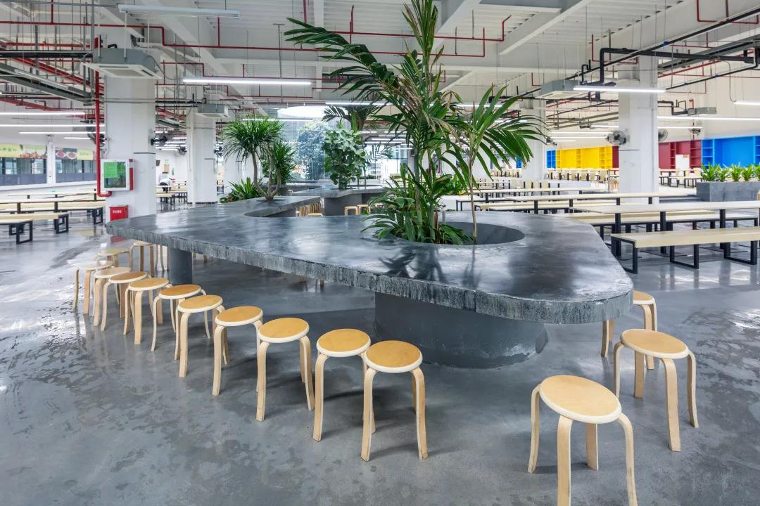 深圳建文外国语学校补录,深圳市建文外国语学校是否转公立