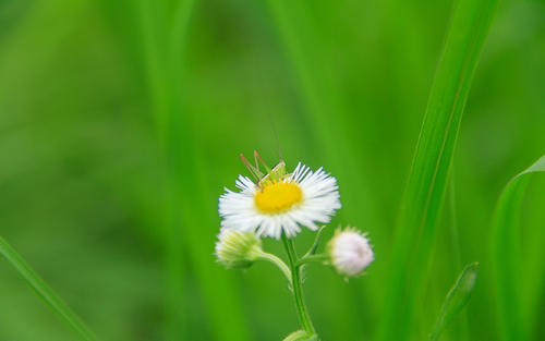 ps入门美工教程零基础,零基础想学淘宝美工