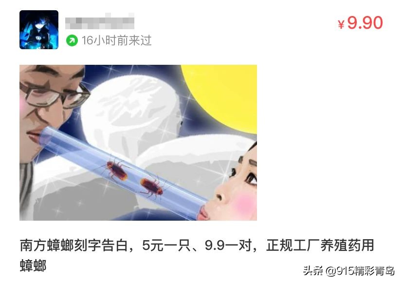 在闲鱼买东西遇见过什么奇葩卖家,闲鱼都有卖什么特殊东西的