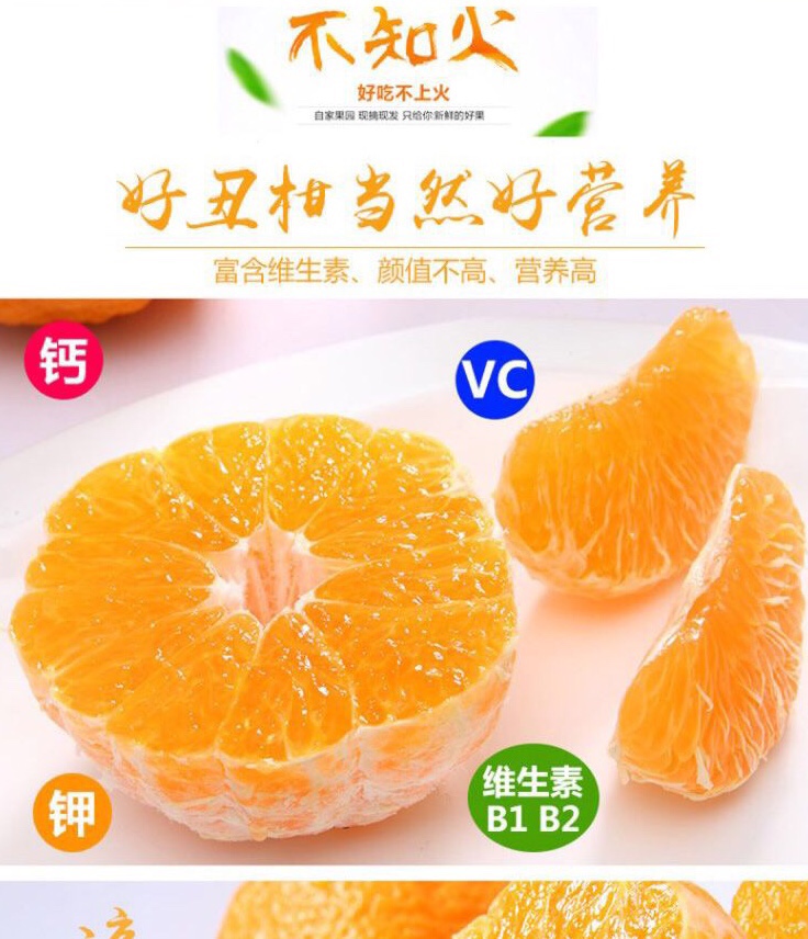 新鲜特价丑橘四川耙耙柑,四川丑橘新鲜耙耙柑