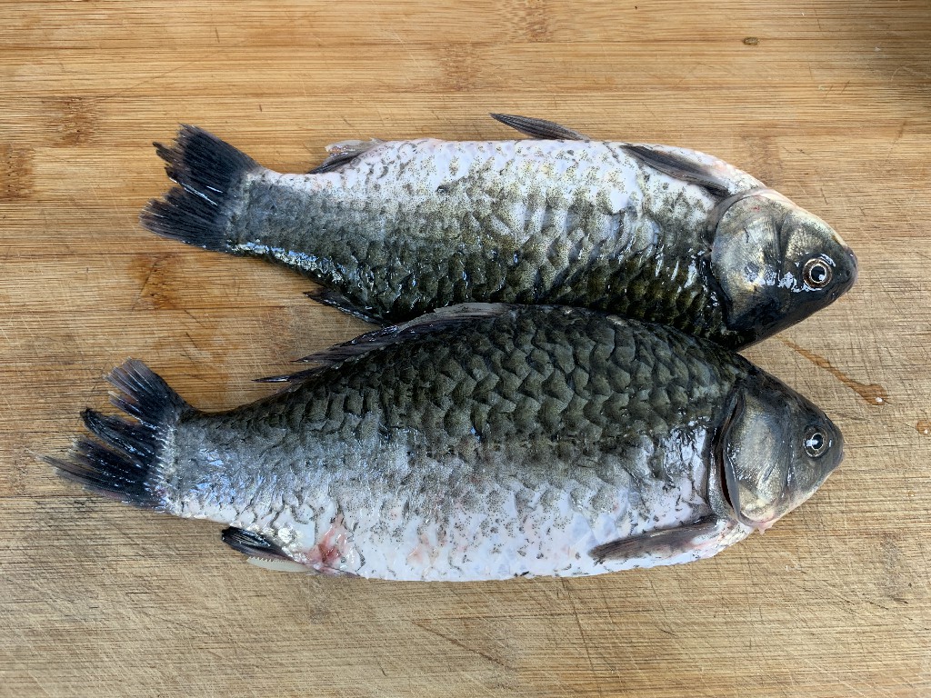 给鱼去腥用料酒行吗,给鱼去腥用什么佐料