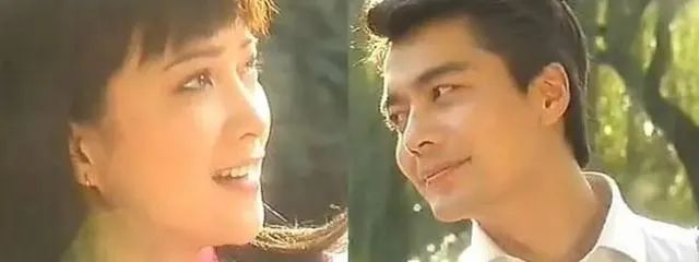 江南美人何晴的狗血情史,廖京生和许亚军合作的电视剧