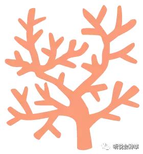 宝宝海藻油dha推荐,bioisland婴儿dha海藻油怎么样