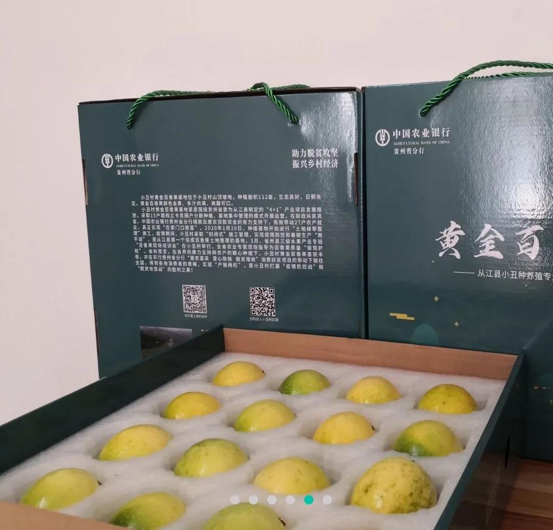 结甜蜜之果，助推产业扶贫——贵州大学科技支农队