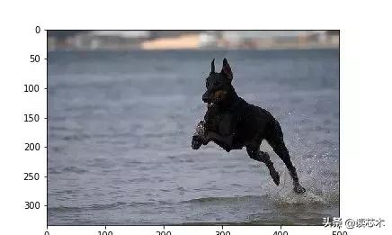 神经网络一般用什么实现,神经网络最多可达多少层