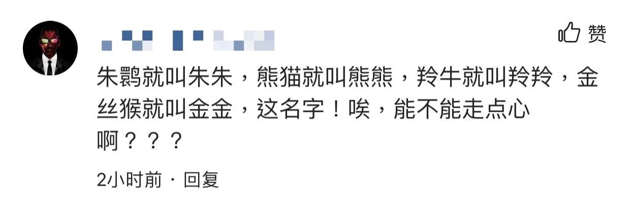 自己对吉祥物的理解,吉祥物的误区