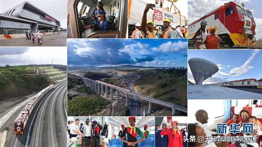 进博会逛展食品,进博会四叶草高清图