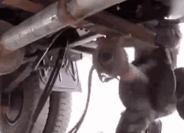 中国汽车兵,汽车兵身份地位