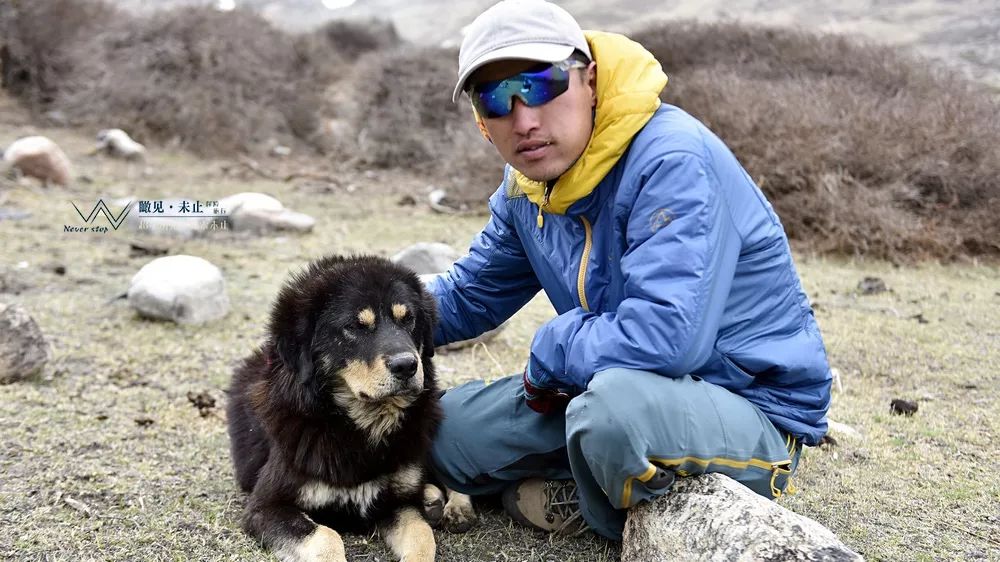 高山低谷的感悟,高山之巅的感悟