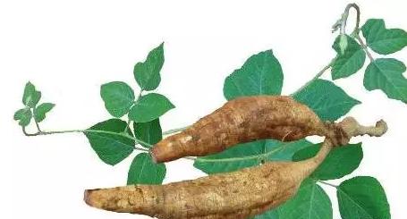 为什么说葛根粉越吃越漂亮,葛根粉怎么吃比较好