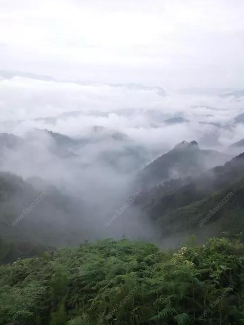 来自继母的爱,来自继母的宠爱