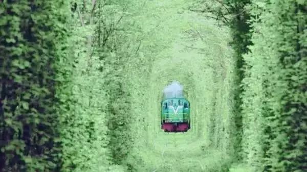 100万能移民乌克兰吗,移民乌克兰的真实感受