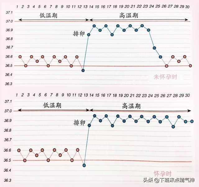 排卵期的4大误区,排卵期错了怎么回事