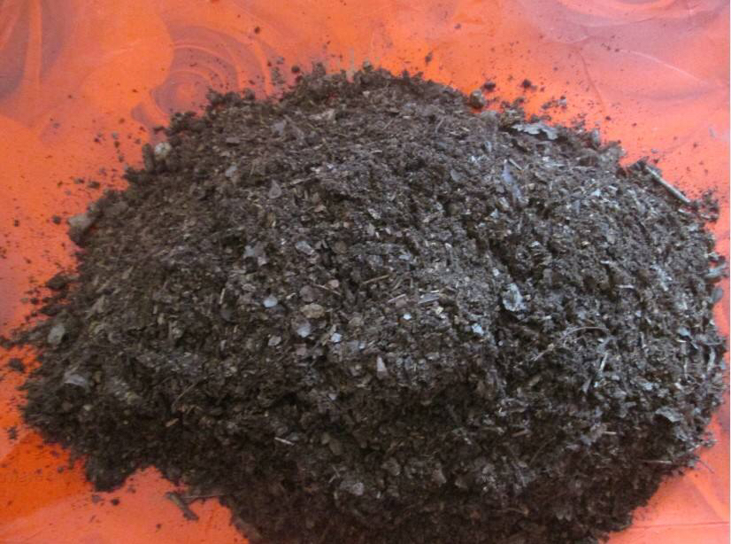 吊兰盆里放香蕉皮好吗,吊兰盆里栽多了