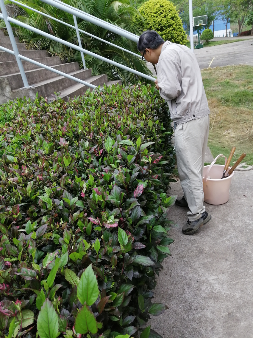 大波非洲大蜗牛袭击水电站，我方高地正被入侵！它们竟然吃水泥？