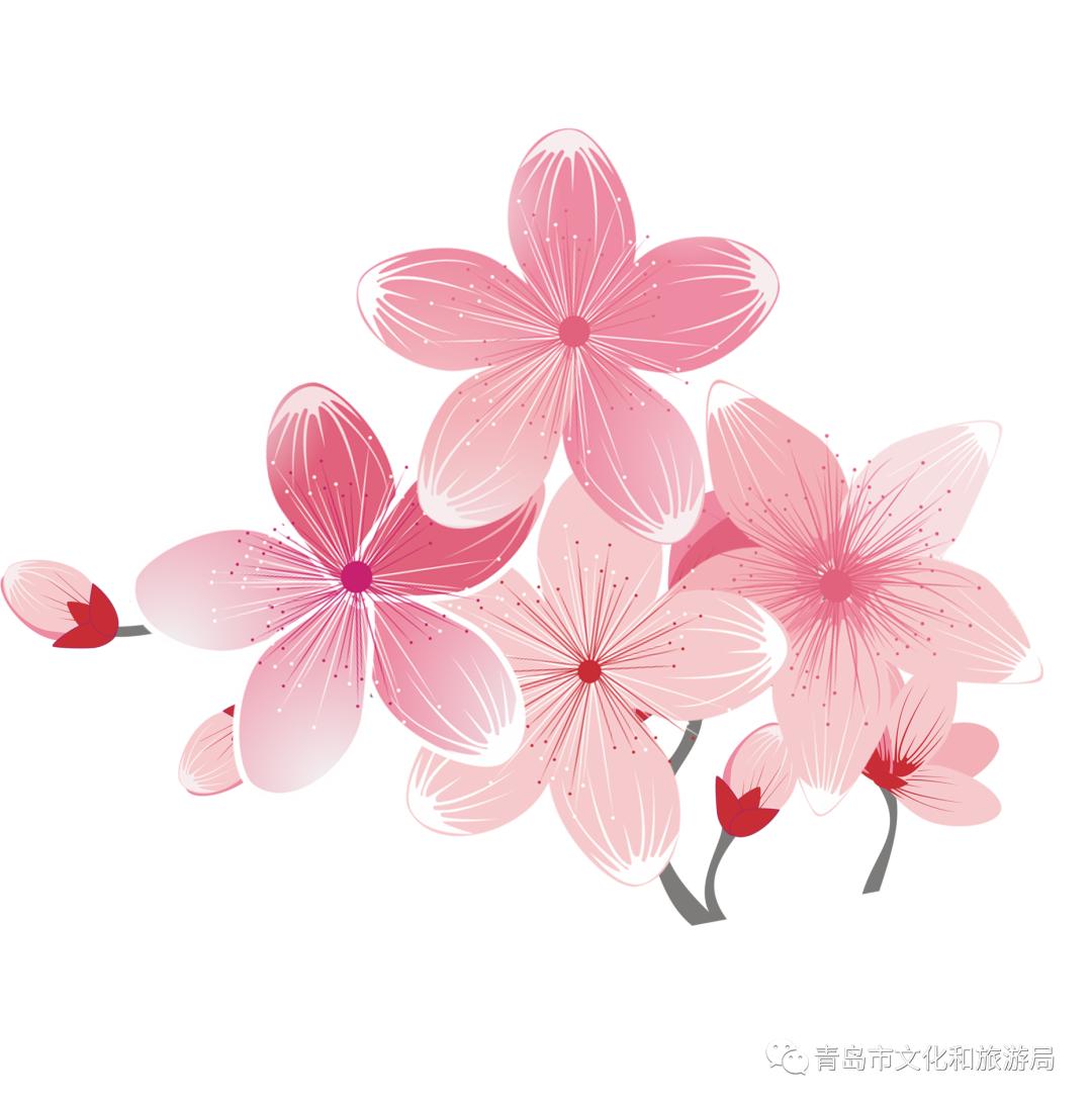 识花赏花学知识,赏花识花学知识