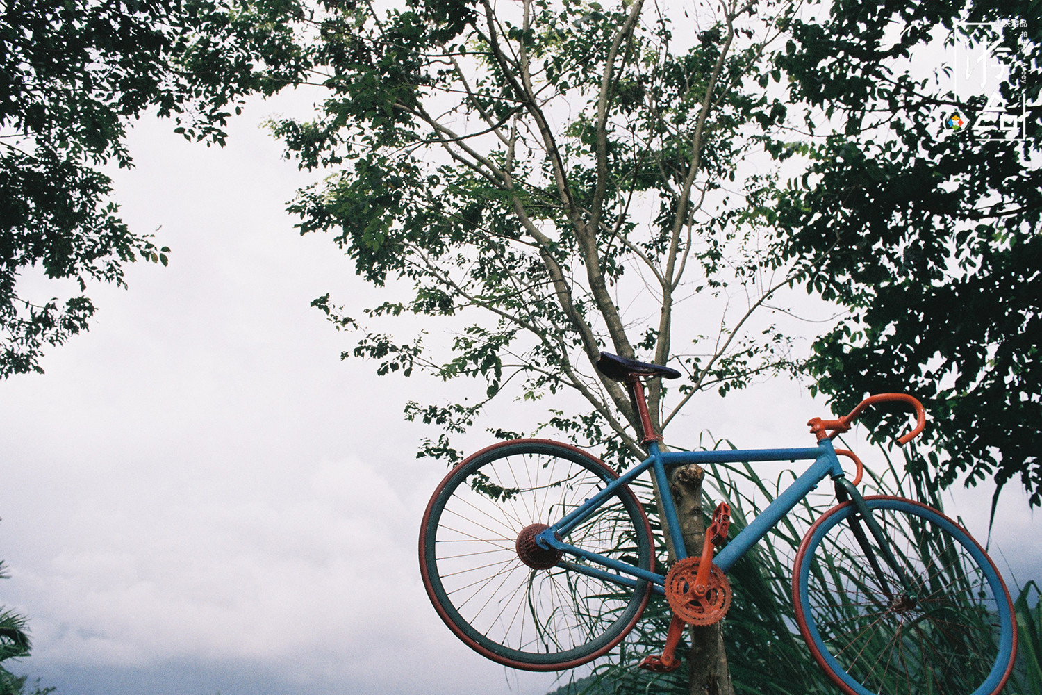 因为大街上看不见自行车，所以重庆人不会骑？你也太小看我们了吧