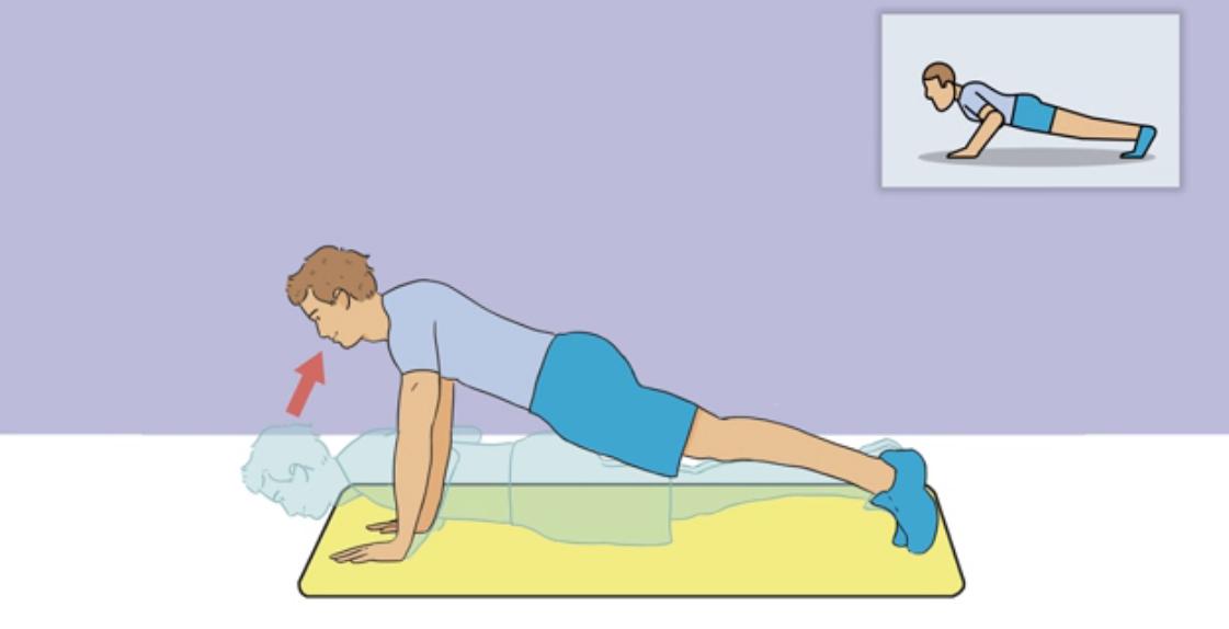 综合健身器材能练出肌肉吗,哑铃健身能练出肌肉吗