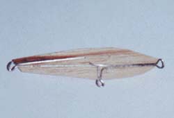 天才小钓手海钓,天才小钓手日本动画