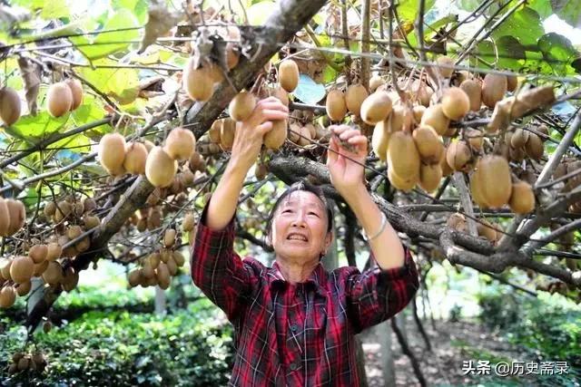 南阳是不是国家历史文化名城,142座历史文化名城介绍南阳