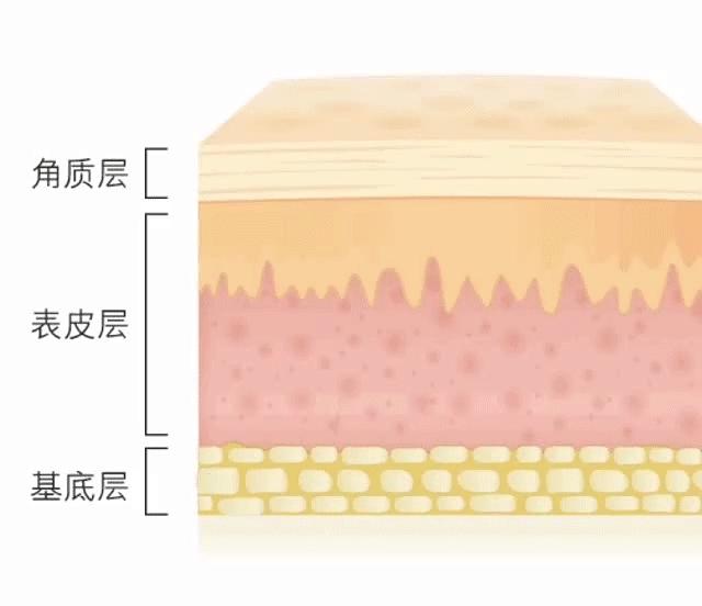 泰国卡尼尔美白精华可以变白吗,美白精华真实好用的