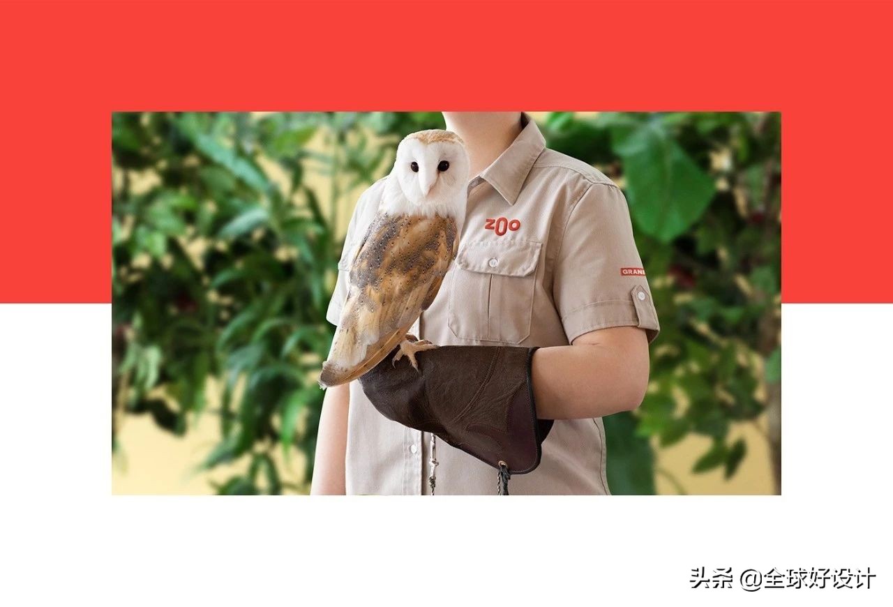 鍝佺墝璁捐瑙嗚杩愯惀,鍝佺墝璁捐logo