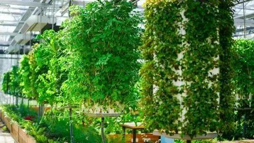 读道分享｜只有120亩的庄园，依靠自然+营地教育，每年游客超十万